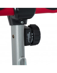 BICICLETA 1300