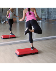 MINISTEP PROFESIONAL