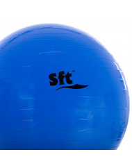 PELOTA GIGANTE SOFTEE