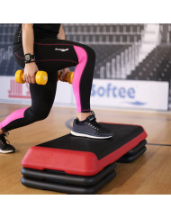 STEP PROFESIONAL