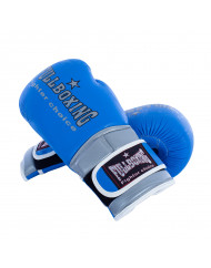 PAR DE GUANTES BOXEO FULLBOXING MASTER