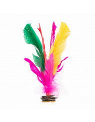 Lote 6 indiakas fútbol pluma multicolor