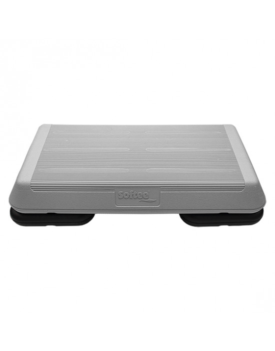 Ministep profesional