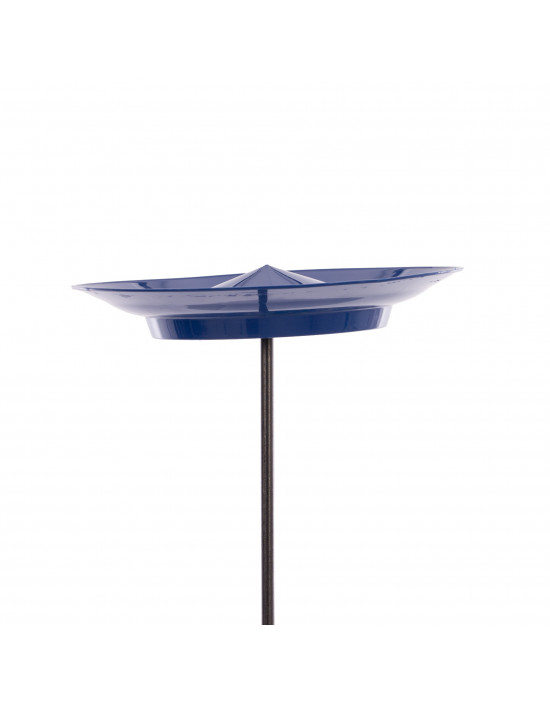 Set plato chino