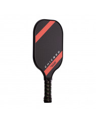 PALA PICKLEBALL SOFTJIM CHICAGO