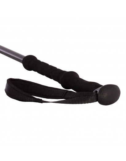 BASTÓN DE TREKKING ALPINE -UNIDAD-