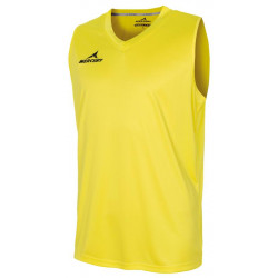 Camiseta Basket Detroit