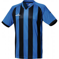 Camiseta m/corta Champions