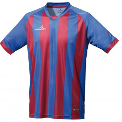 Camiseta m/corta Champions