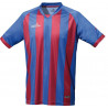 Camiseta m/corta Champions