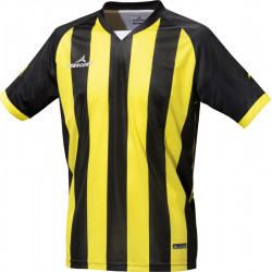 Camiseta m/corta Champions