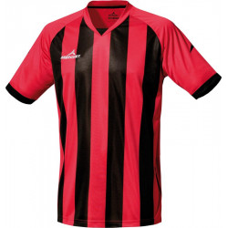 Camiseta m/corta Champions
