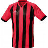 Camiseta m/corta Champions