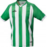 Camiseta m/corta Champions