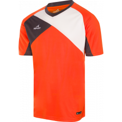 Camiseta m/corta Dublin