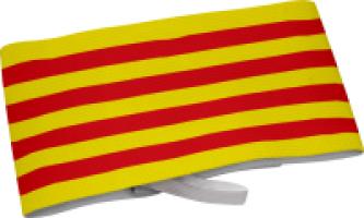Brazalete Capitan Comunidad Autonoma