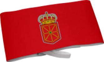 Brazalete Capitan Comunidad Autonoma