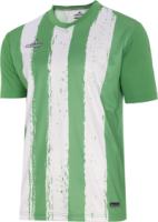 Camiseta M/Corta Winner