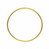 Hula Hoop Shine
