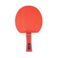 Pala Ping-Pong Eqsi