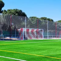 Juego de 2 Redes Futbol 7 4 Mm Polipropileno Malla 120 Bicolor