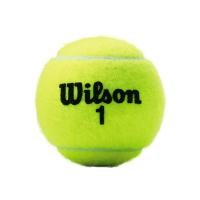Bote 3 Pelotas Tenis Wilson Championship Xd
