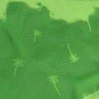 Bañador Softee Palm