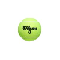 Bote de 3 Pelotas Tenis Wilson Roland Garros All